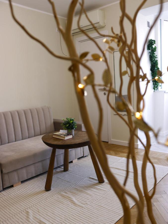 Mina City Center Apartment Amzei بوخارست المظهر الخارجي الصورة
